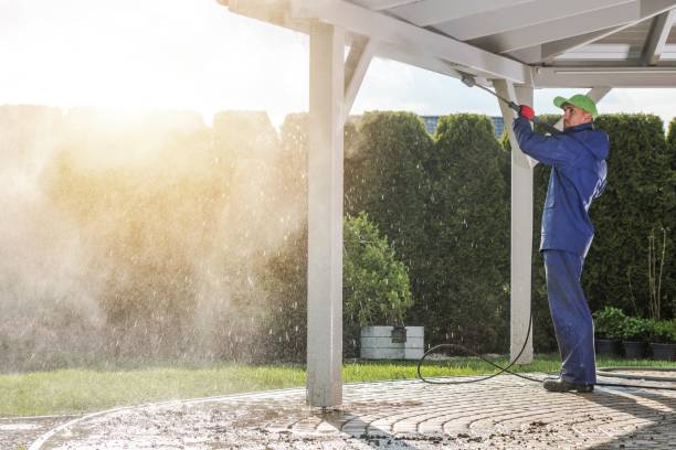 Best Spring Cleaning  in Winchester, NV